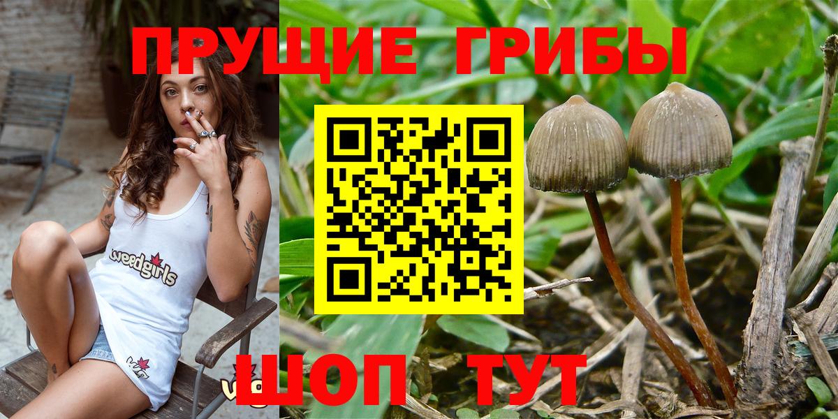 Галлюциногенные грибы Magic Shrooms Партизанск