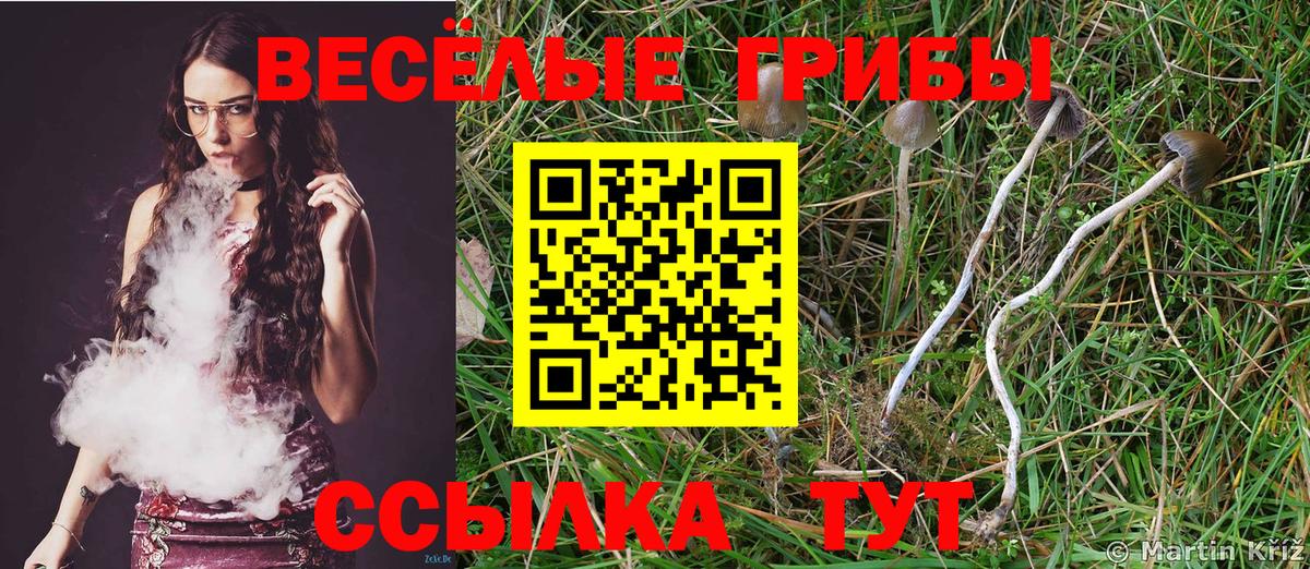 Псилоцибиновые грибы Magic Shrooms  Галлюциногенные грибы мицелий  Партизанск  Вход с VPN 